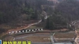 重庆酉阳政协委员 左彩琴 权色交易曝光！靠床上功夫获职政协委员 最骚八零后E奶少妇性爱视频曝光！001