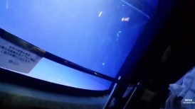 FC2 4743640 *22号前首次购买可享8折优惠。*【无码】【露脸】最透明的！蹂躏这位美丽清纯的英语老师的无辜肉体！